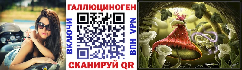 закладки Усинск Псилоцибиновые грибы мицелий